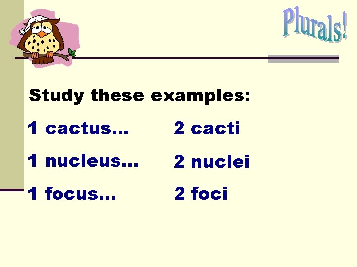 Study these examples: 1 cactus… 2 cacti 1 nucleus. . . 2 nuclei 1 Study these examples: 1 cactus… 2 cacti 1 nucleus. . . 2 nuclei 1