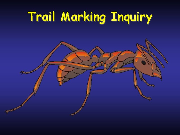 Trail Marking Inquiry 