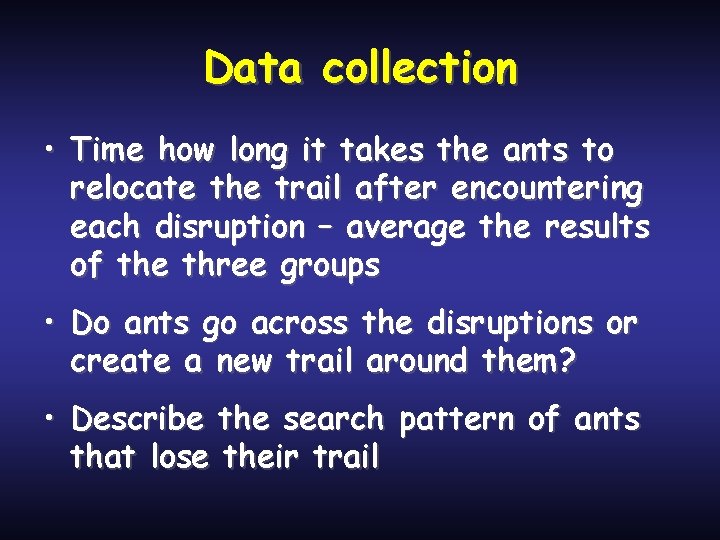 Data collection • Time how long it takes the ants to relocate the trail