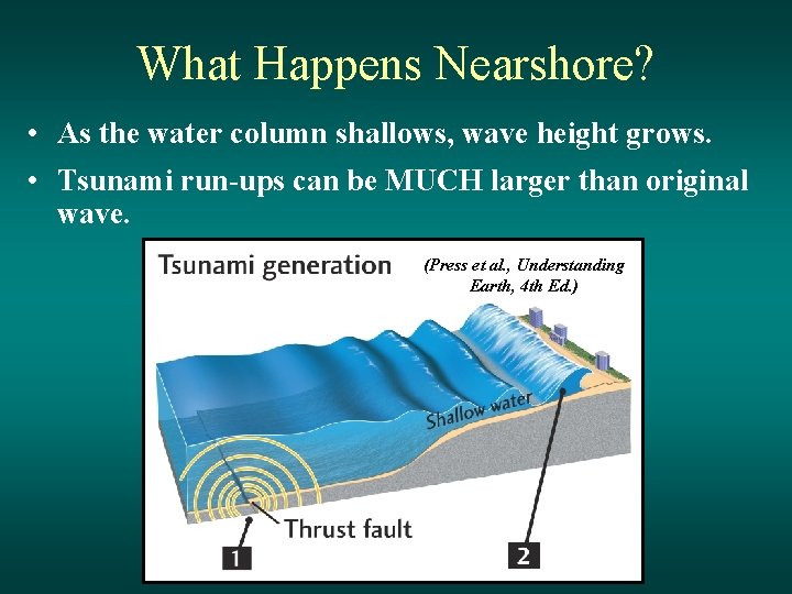 What Happens Nearshore? • As the water column shallows, wave height grows. • Tsunami