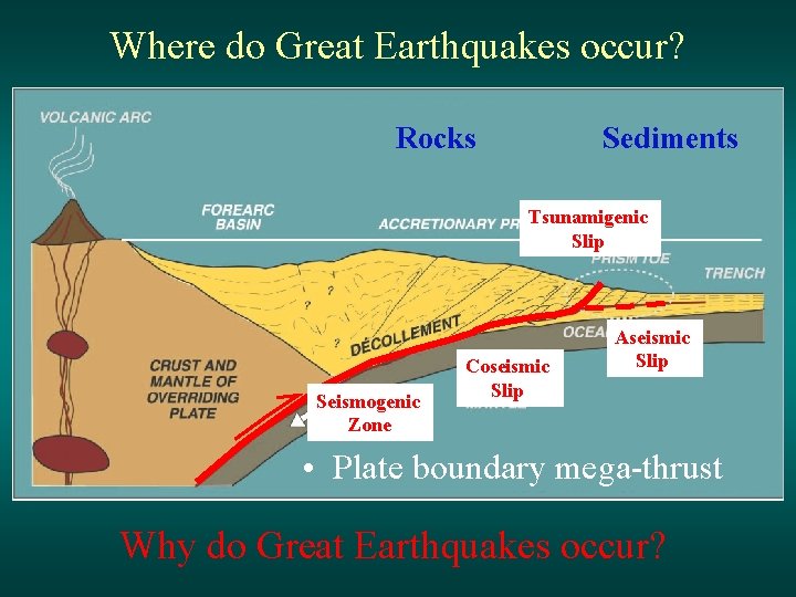 Where do Great Earthquakes occur? Rocks Sediments Tsunamigenic Slip Seismogenic Zone Coseismic Slip Aseismic