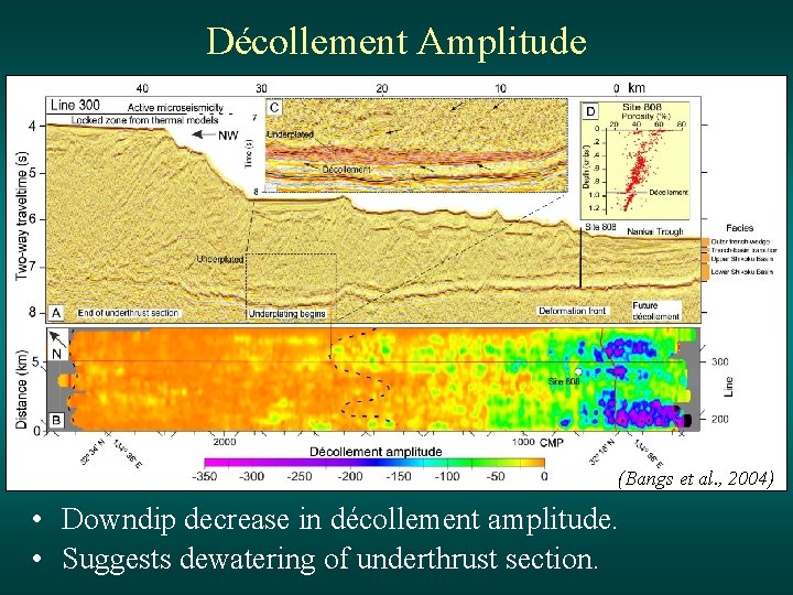 Décollement Amplitude (Bangs et al. , 2004) • Downdip decrease in décollement amplitude. •