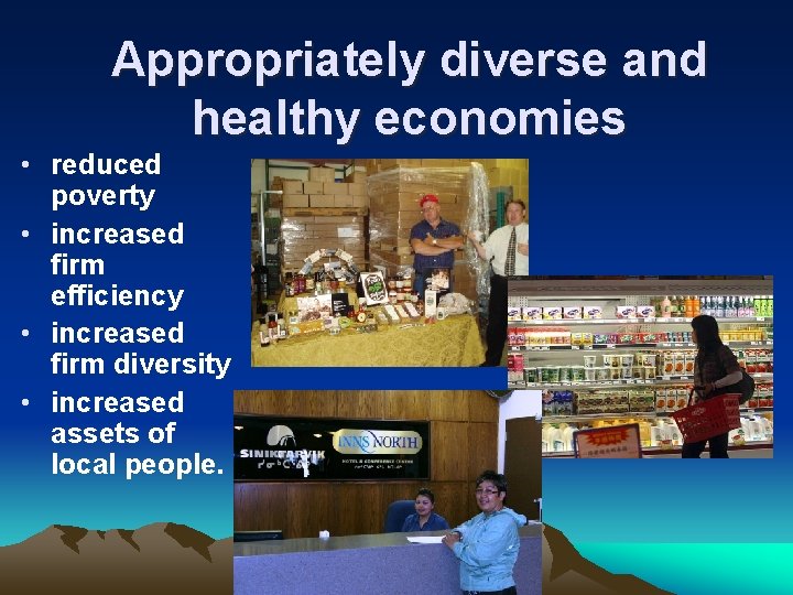 Appropriately diverse and healthy economies • reduced poverty • increased firm efficiency • increased