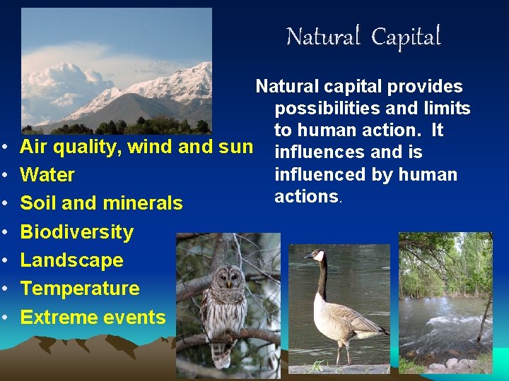 Natural Capital Natural capital provides possibilities and limits to human action. It • Air