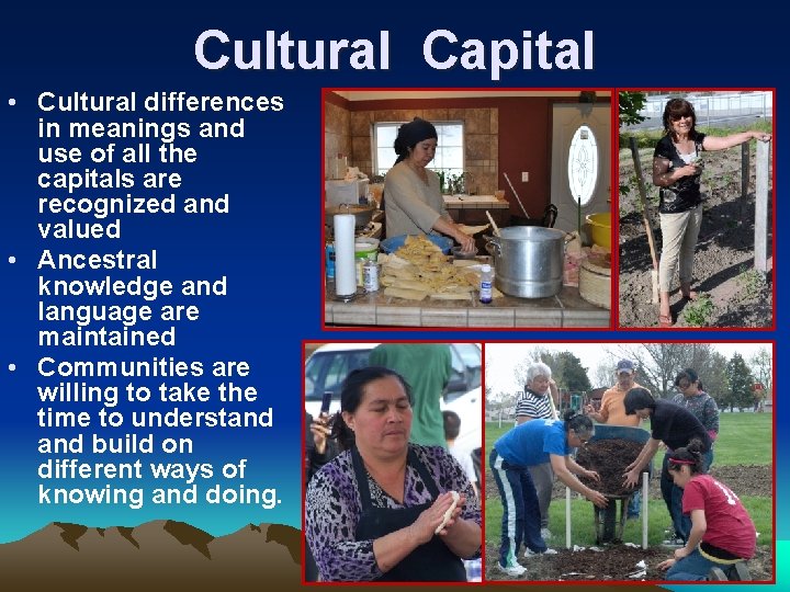 Cultural Capital • Cultural differences in meanings and use of all the capitals are