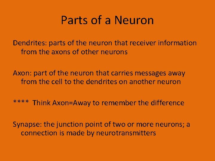 Parts of a Neuron Dendrites: parts of the neuron that receiver information from the