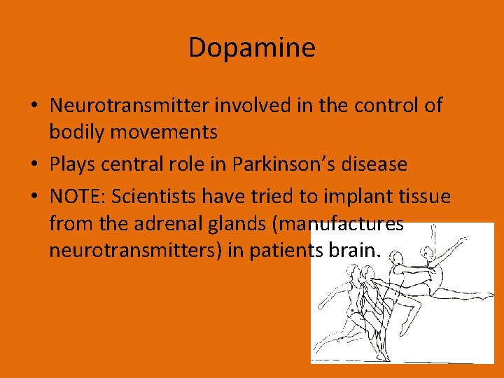 Dopamine • Neurotransmitter involved in the control of bodily movements • Plays central role