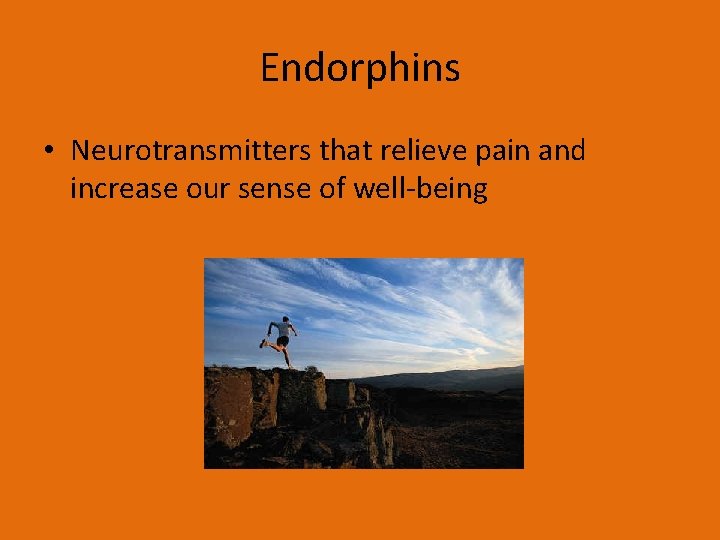 Endorphins • Neurotransmitters that relieve pain and increase our sense of well-being 