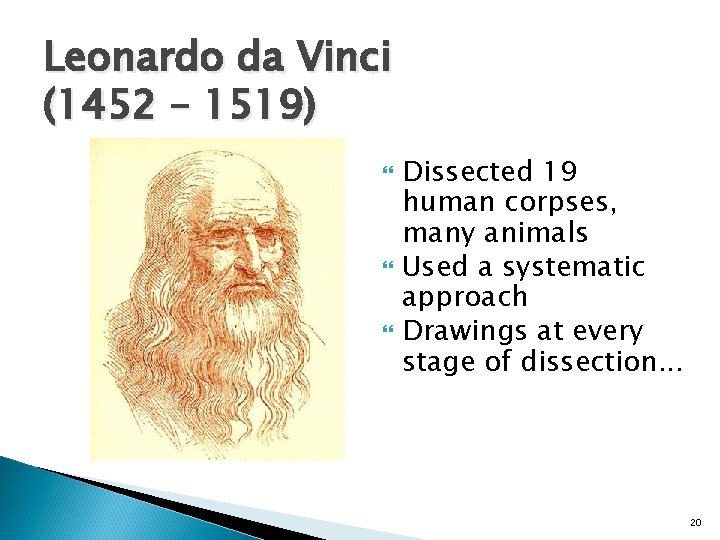 Leonardo da Vinci (1452 – 1519) Dissected 19 human corpses, many animals Used a