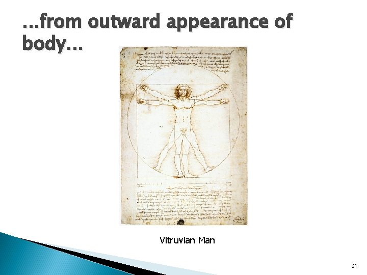 . . . from outward appearance of body. . . Vitruvian Man 21 