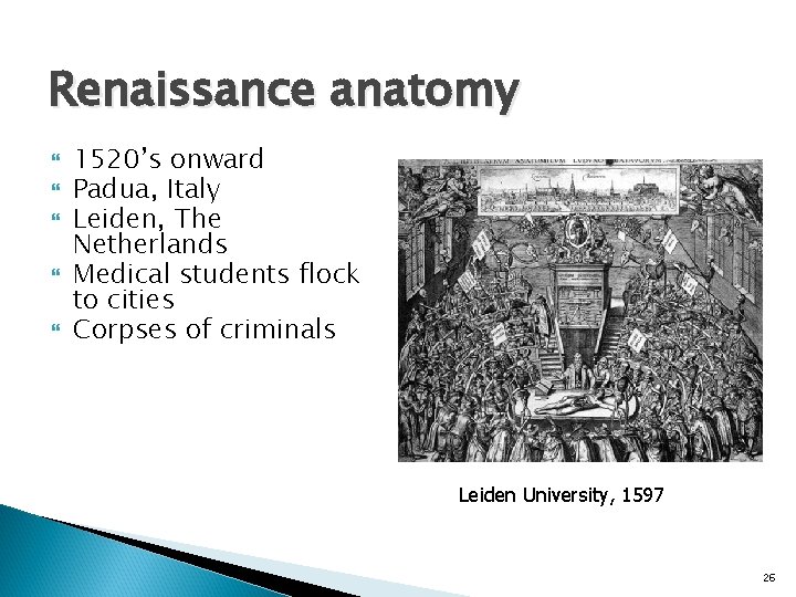 Renaissance anatomy 1520’s onward Padua, Italy Leiden, The Netherlands Medical students flock to cities