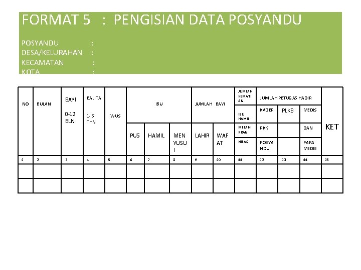 FORMAT 5 : PENGISIAN DATA POSYANDU DESA/KELURAHAN KECAMATAN KOTA NO BULAN : : BAYI