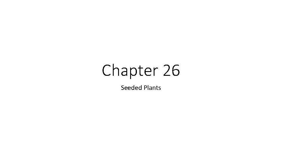 Chapter 26 Seeded Plants 