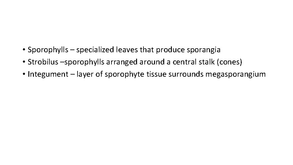  • Sporophylls – specialized leaves that produce sporangia • Strobilus –sporophylls arranged around