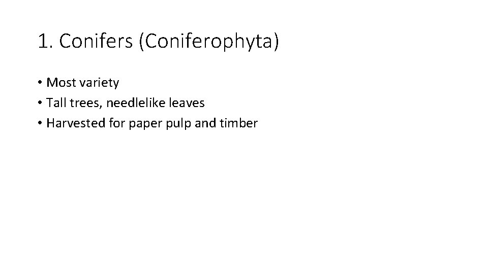 1. Conifers (Coniferophyta) • Most variety • Tall trees, needlelike leaves • Harvested for