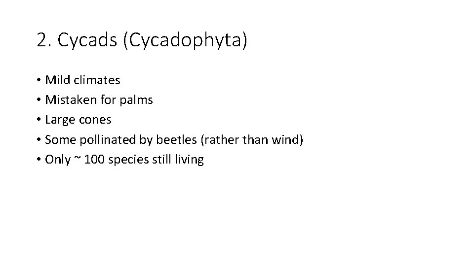 2. Cycads (Cycadophyta) • Mild climates • Mistaken for palms • Large cones •