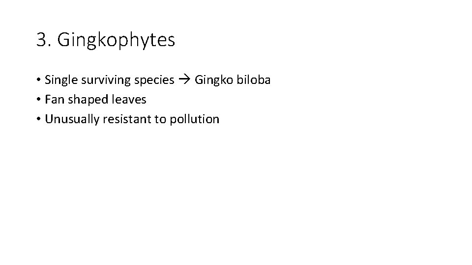 3. Gingkophytes • Single surviving species Gingko biloba • Fan shaped leaves • Unusually