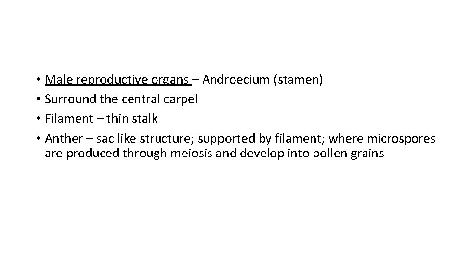  • Male reproductive organs – Androecium (stamen) • Surround the central carpel •