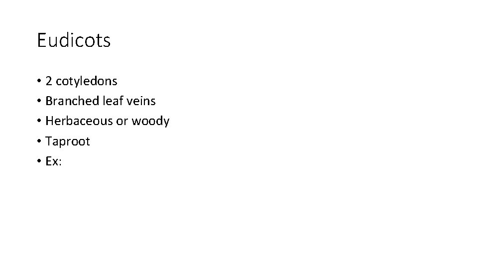 Eudicots • 2 cotyledons • Branched leaf veins • Herbaceous or woody • Taproot