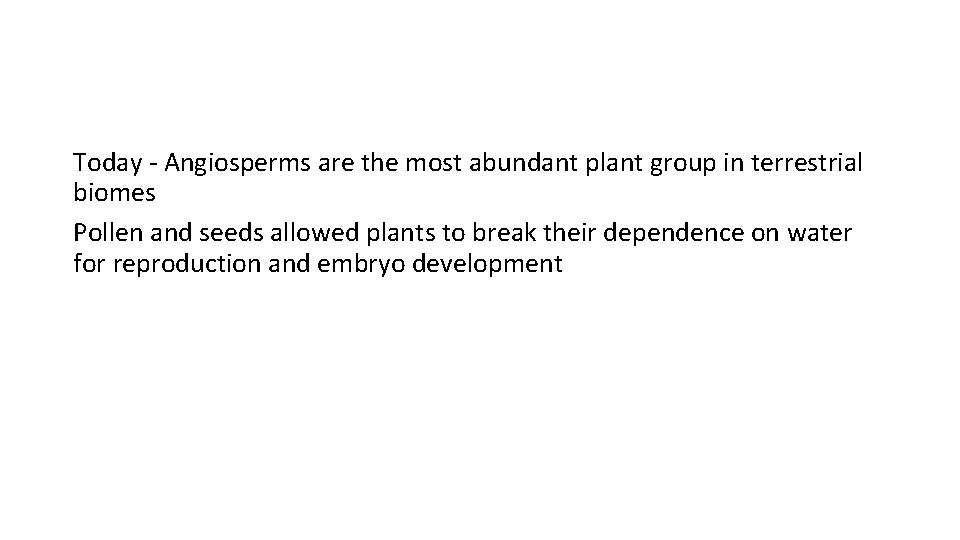 Today - Angiosperms are the most abundant plant group in terrestrial biomes Pollen and