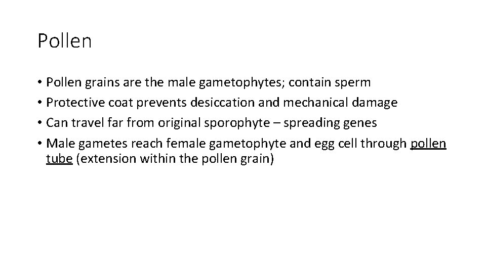 Pollen • Pollen grains are the male gametophytes; contain sperm • Protective coat prevents