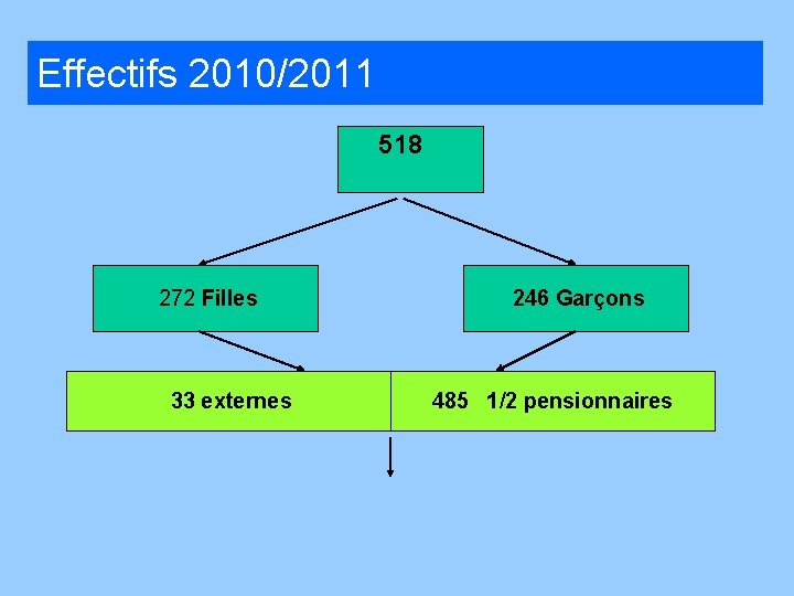 Effectifs 2010/2011 518 272 Filles 33 externes 246 Garçons 485 1/2 pensionnaires 