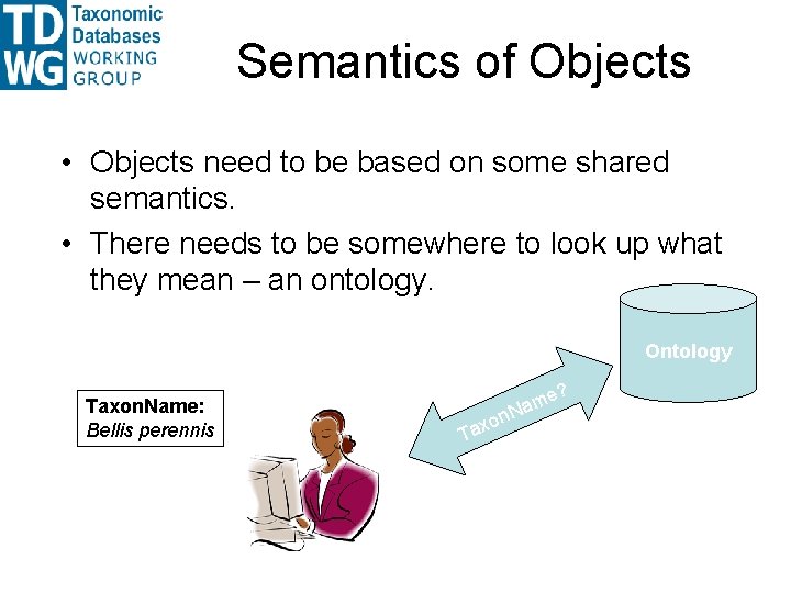 Semantics of Objects • Objects need to be based on some shared semantics. • Semantics of Objects • Objects need to be based on some shared semantics. •