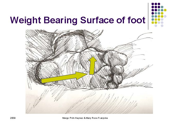 Weight Bearing Surface of foot 2009 Margo Prim Haynes & Mary Rose Franjoine 