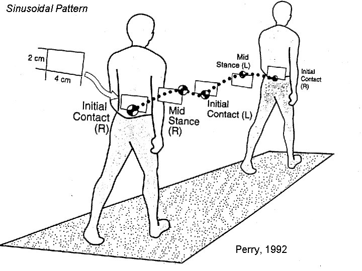 Sinusoidal Pattern 2009 Margo Prim Haynes & Mary Rose Franjoine Perry, 1992 