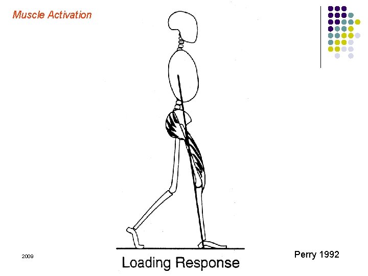 Muscle Activation 2009 Margo Prim Haynes & Mary Rose Franjoine Perry 1992 