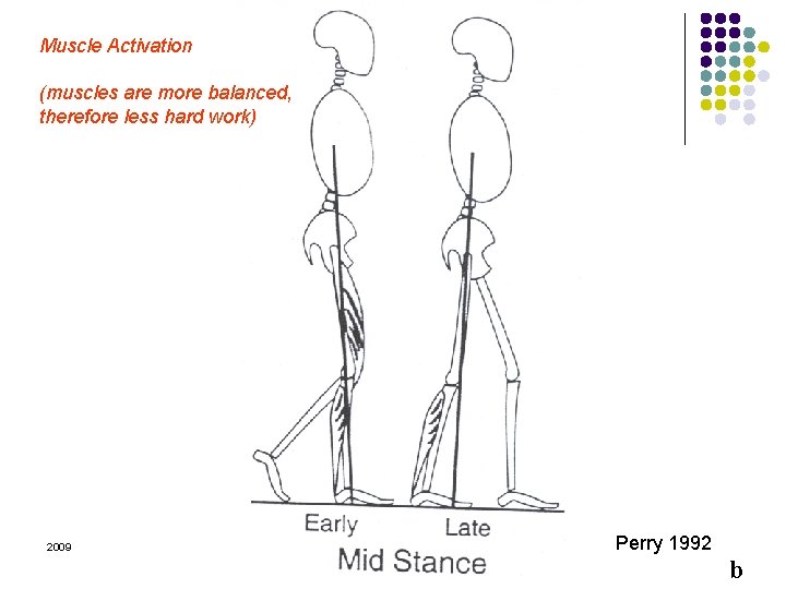 Muscle Activation (muscles are more balanced, therefore less hard work) 2009 Margo Prim Haynes