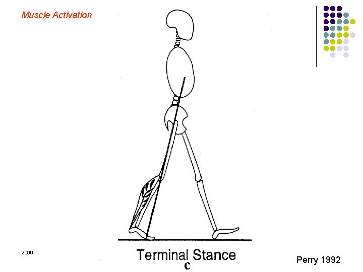 Muscle Activation 2009 Margo Prim Haynes & Mary Rose Franjoine c Perry 1992 