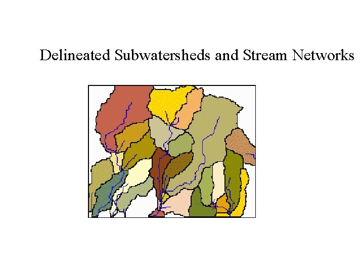 Delineated Subwatersheds and Stream Networks 