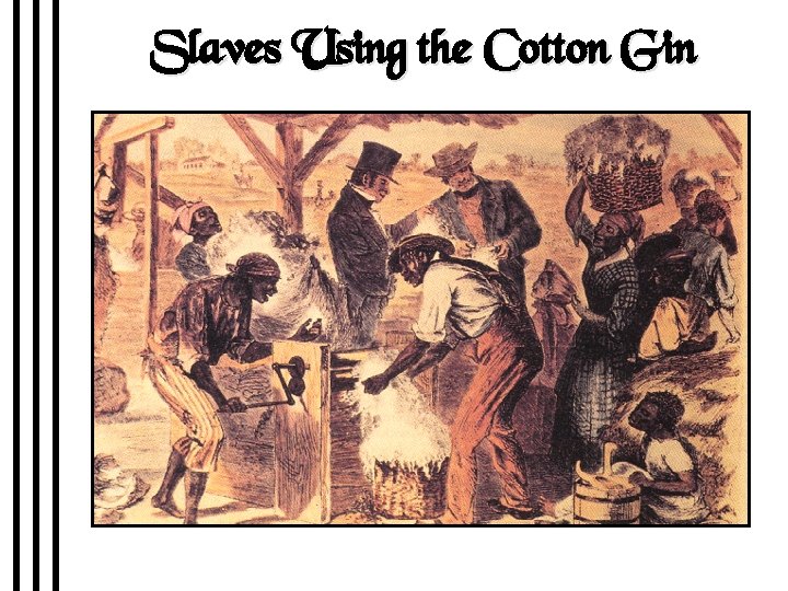 Slaves Using the Cotton Gin 