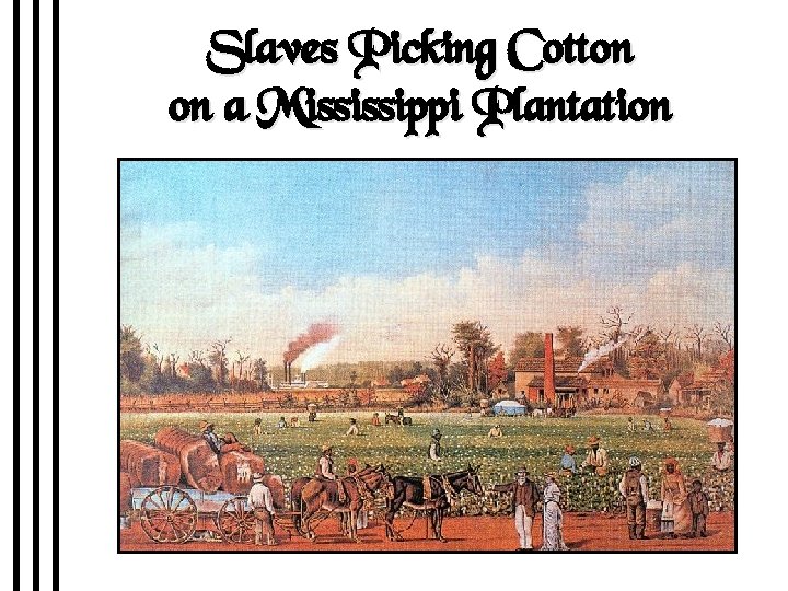 Slaves Picking Cotton on a Mississippi Plantation 