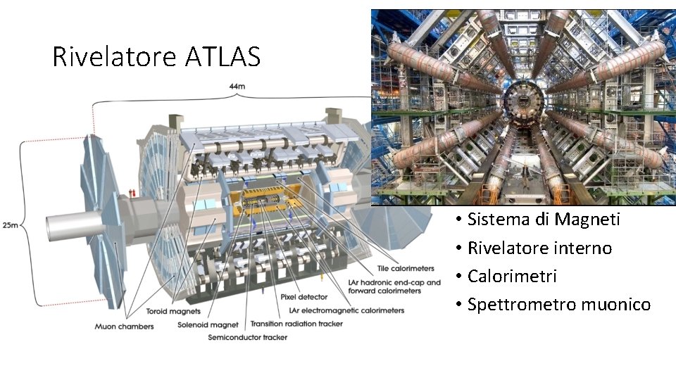 Rivelatore ATLAS • Sistema di Magneti • Rivelatore interno • Calorimetri • Spettrometro muonico