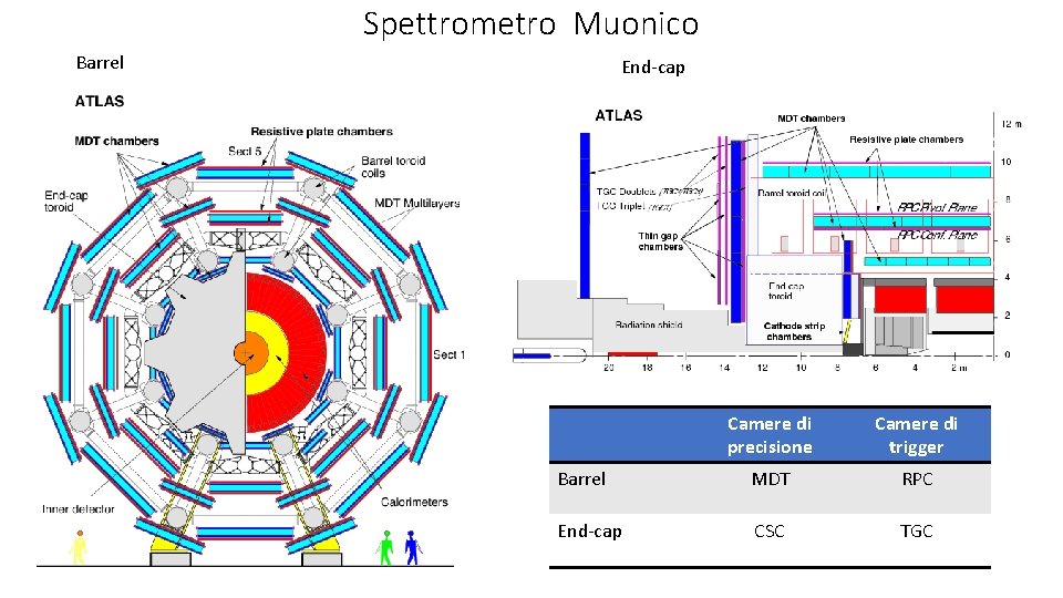 Spettrometro Muonico Barrel End-cap Camere di precisione Camere di trigger Barrel MDT RPC End-cap