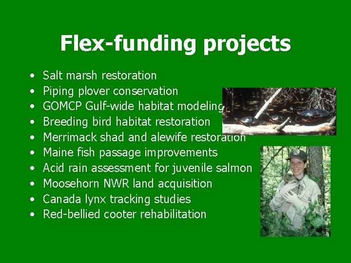 Flex-funding projects • • • Salt marsh restoration Piping plover conservation GOMCP Gulf-wide habitat