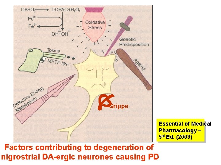  Grippe Essential of Medical Pharmacology – 5 st Ed. (2003) Factors contributing to
