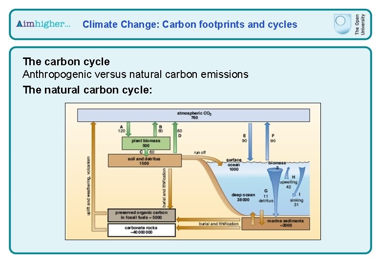 Climate Change: Carbon footprints and cycles The carbon cycle Anthropogenic versus natural carbon emissions
