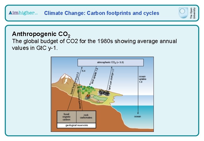 Climate Change: Carbon footprints and cycles Anthropogenic CO 2 The global budget of CO