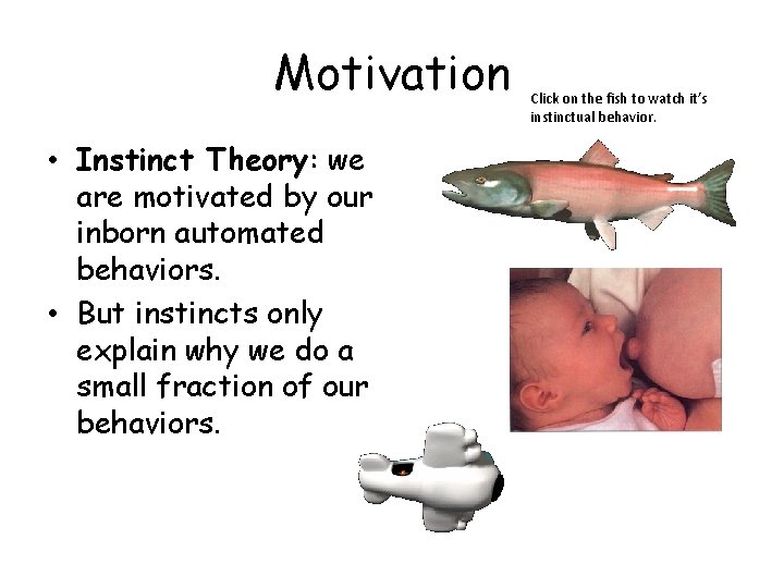 Motivation • Instinct Theory: we are motivated by our inborn automated behaviors. • But