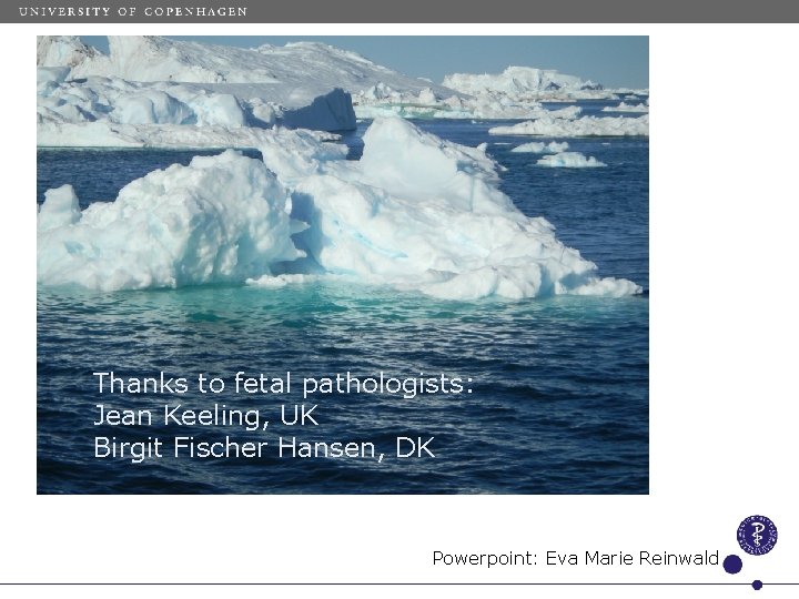 Thanks to fetal pathologists: Jean Keeling, UK Birgit Fischer Hansen, DK Powerpoint: Eva Marie