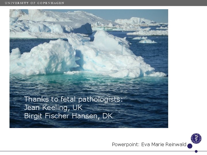 Thanks to fetal pathologists: Jean Keeling, UK Birgit Fischer Hansen, DK Powerpoint: Eva Marie
