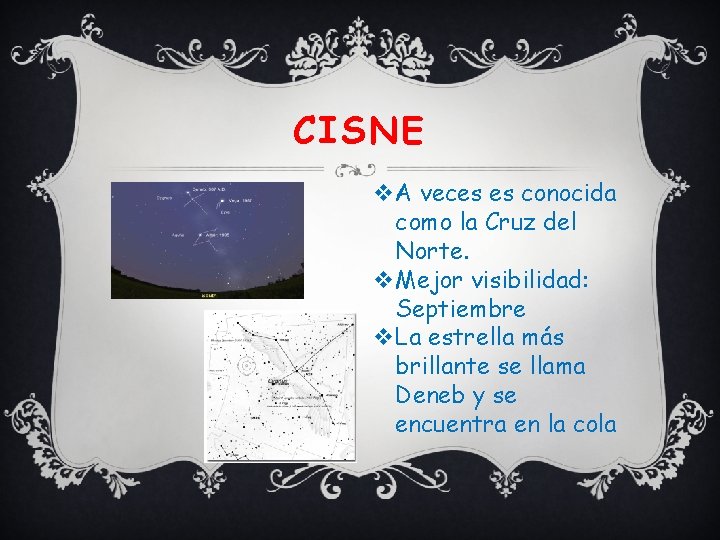 CISNE v. A veces es conocida como la Cruz del Norte. v. Mejor visibilidad: