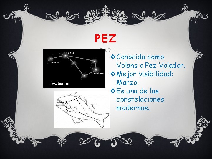 PEZ v. Conocida como Volans o Pez Volador. v. Mejor visibilidad: Marzo v. Es