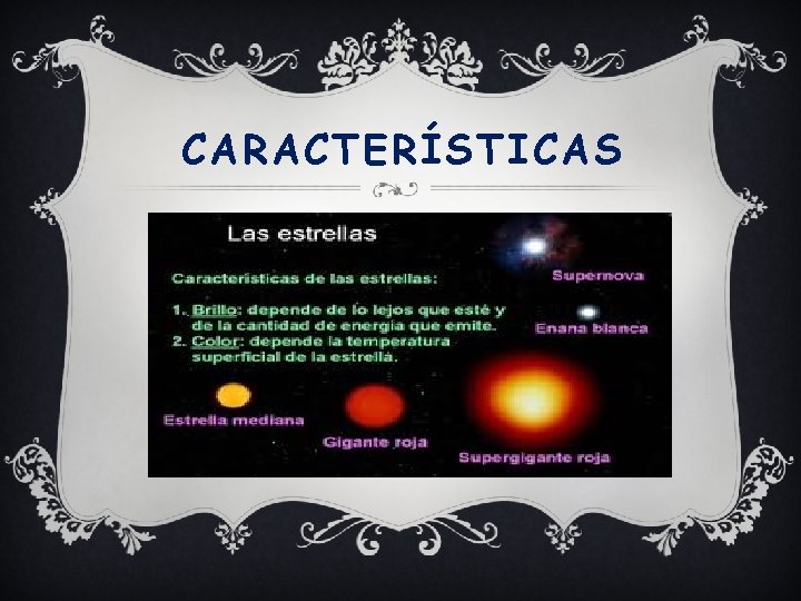CARACTERÍSTICAS 