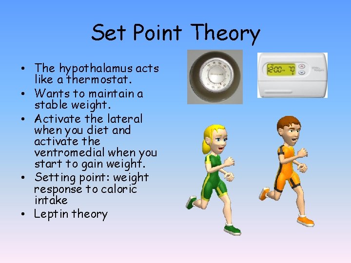 Set Point Theory • The hypothalamus acts like a thermostat. • Wants to maintain