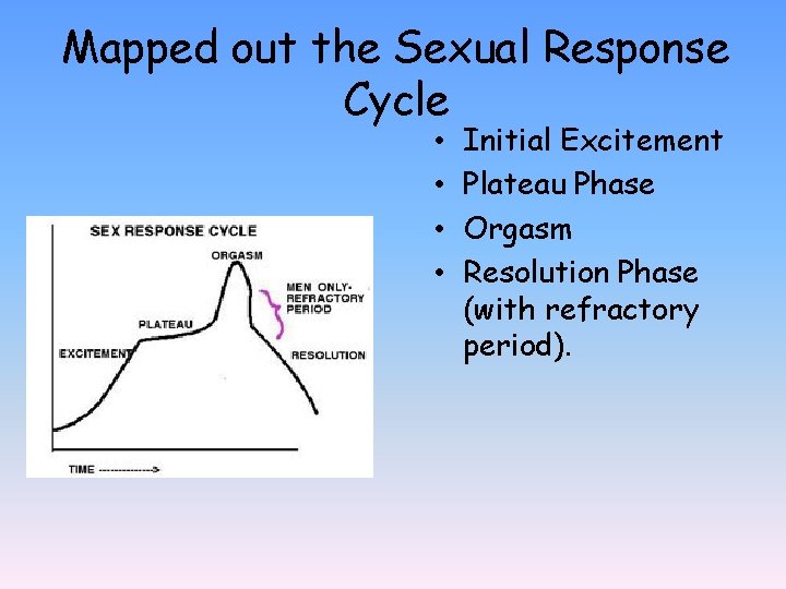 Mapped out the Sexual Response Cycle • • Initial Excitement Plateau Phase Orgasm Resolution