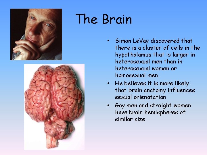 The Brain • Simon Le. Vay discovered that there is a cluster of cells